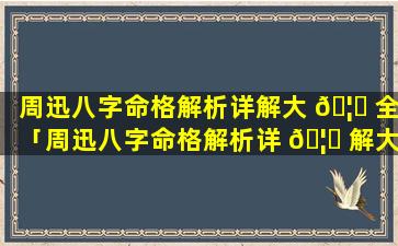 周迅八字命格解析详解大 🦊 全「周迅八字命格解析详 🦍 解大全视频」